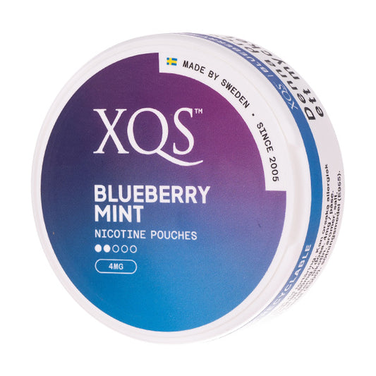 XQS - Blueberry Mint Light (4mg)