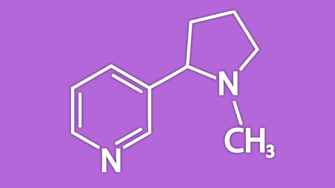 Are Nicotine Pouches Addictive? A Scientific Breakdown