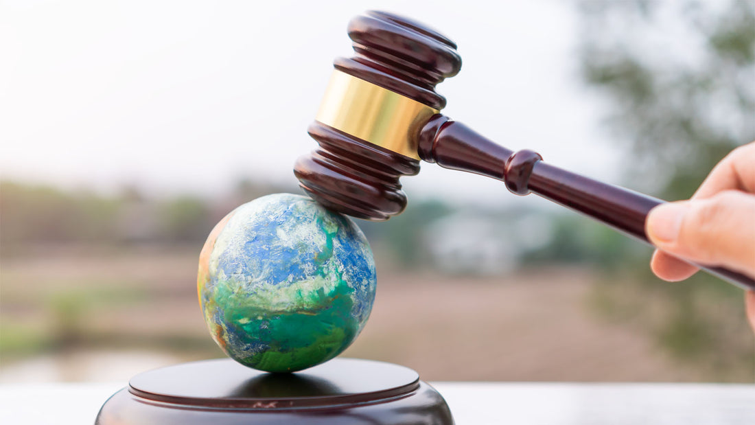 Nicotine Pouch Regulations Across Different Countries