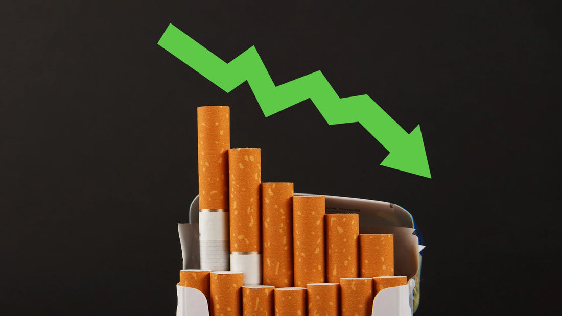 How To Reduce Nicotine Intake Using Nicotine Pouches