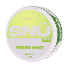 SNÜ - Fresh Mint (9mg)