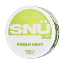SNÜ - Fresh Mint (12mg)