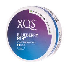 XQS - Blueberry Mint Light (4mg)