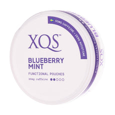XQS - Blueberry Mint (Nicotine Free)